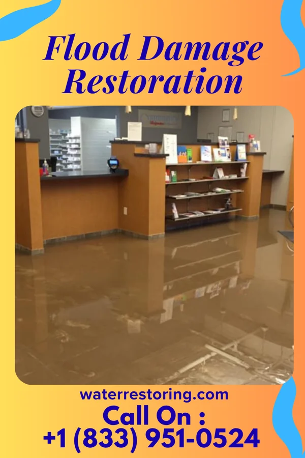 Flood Damage Restoration in Sherwood Manor, CT
