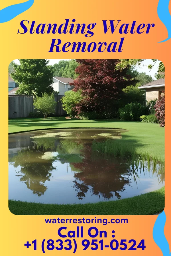 Standing Water Removal in Sherwood Manor, CT
